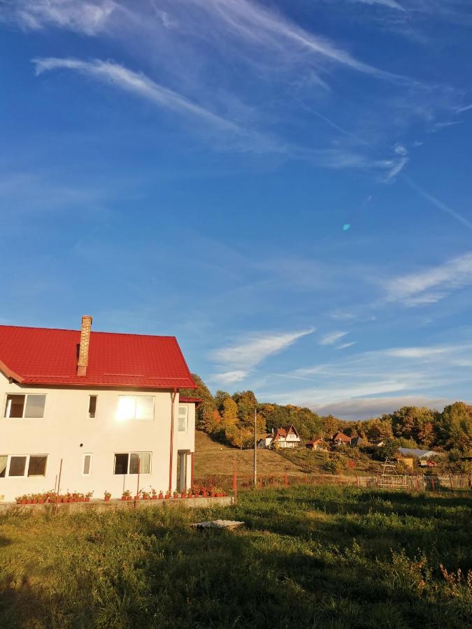 Casa Kotys Apartamento Albestii Paminteni Exterior foto