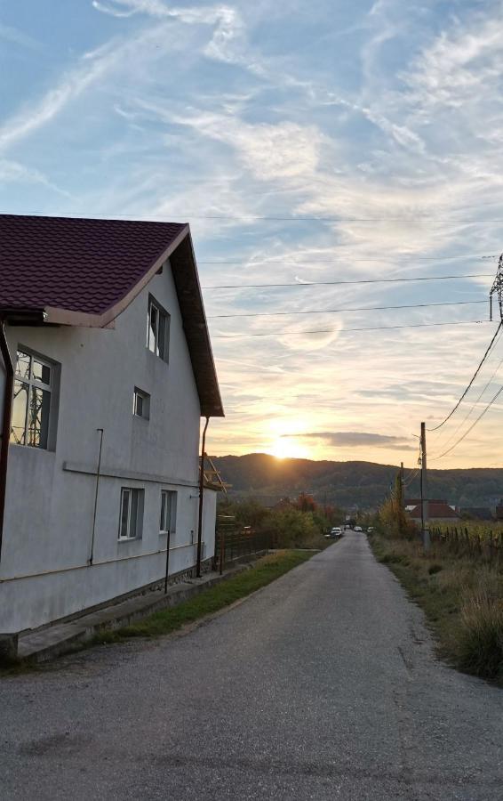 Casa Kotys Apartamento Albestii Paminteni Exterior foto