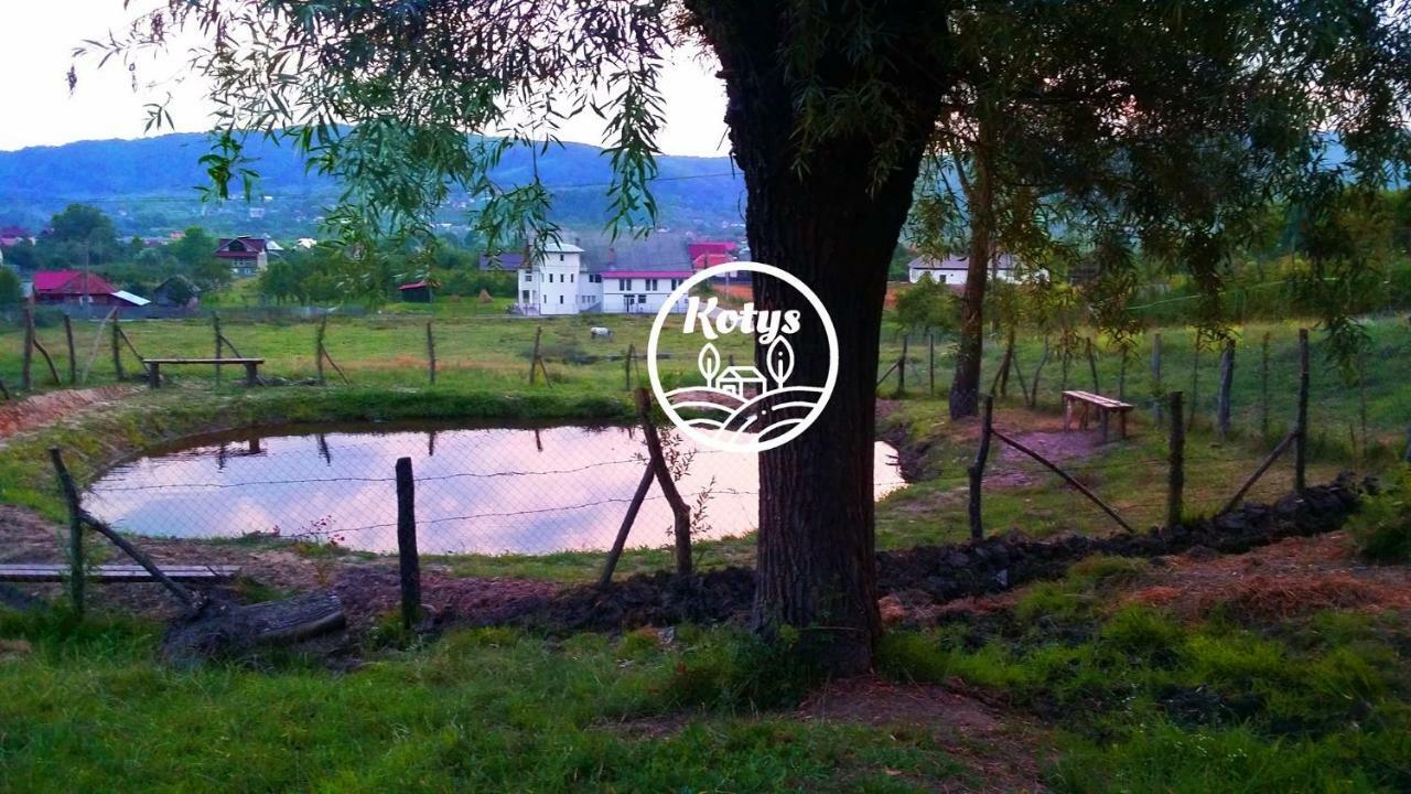 Casa Kotys Apartamento Albestii Paminteni Exterior foto